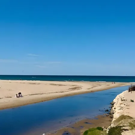 Rivera Dénia