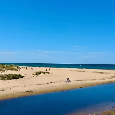 Rivera Dénia